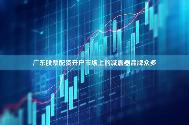 广东股票配资开户市场上的减震器品牌众多
