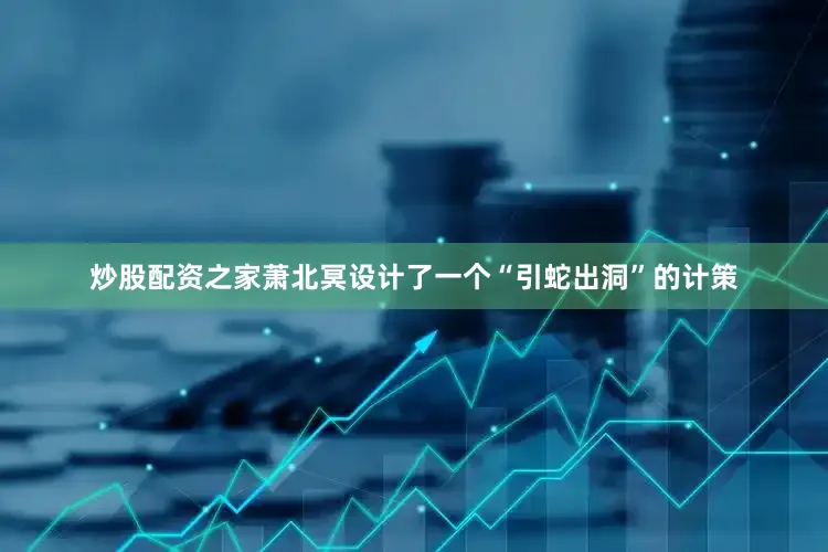炒股配资之家萧北冥设计了一个“引蛇出洞”的计策