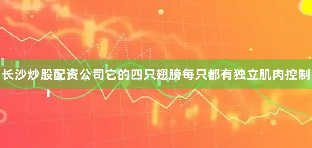 长沙炒股配资公司它的四只翅膀每只都有独立肌肉控制