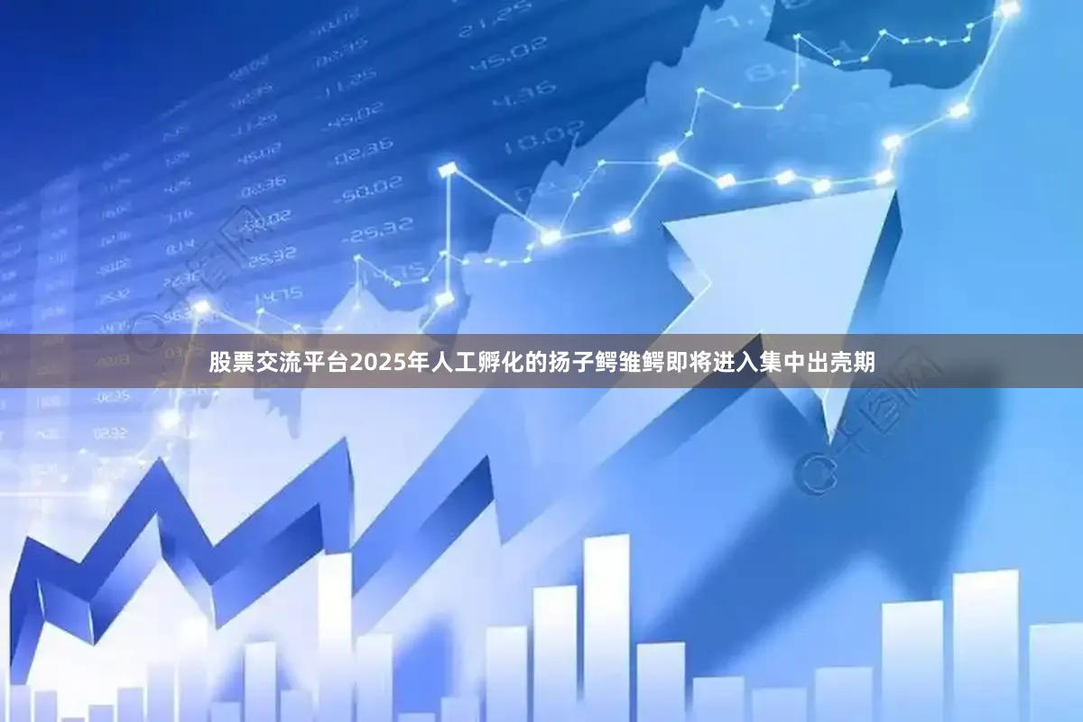 股票交流平台2025年人工孵化的扬子鳄雏鳄即将进入集中出壳期